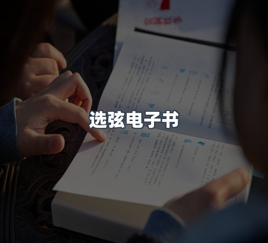 关于选弦电子书
